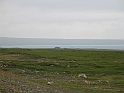 Obraz 274